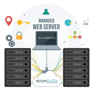 Managed Web Server